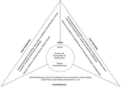 Providing Measurement, Evaluation, Accountability, and Leadership Support (MEALS) for Non-communicable Diseases Prevention in Ghana: Project Implementation Protocol